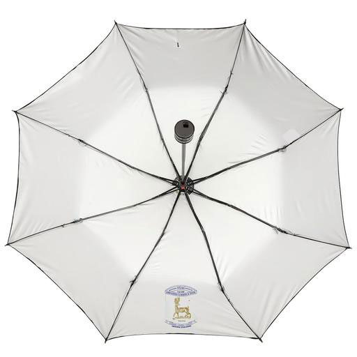 Rain Umbrellas